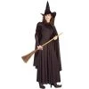 Forum Novelties Basic Witch Adult Costume 2 Forum Novelties Basic Witch Adult Costume -Adult Halloween Costumes Shop unnamed file 1334
