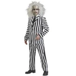 Beetlejuice Beetlejuice Deluxe Beetlejuice Adult Costume -Adult Halloween Costumes Shop unnamed file 222