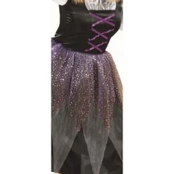 Northlight Witch Women's Adult Halloween Costume - Medium