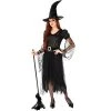 Rubie's Rubies Witch Of Darkness Adult Costume 1 Rubie's Rubies Witch Of Darkness Adult Costume -Adult Halloween Costumes Shop unnamed file 2827