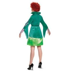 Adult Disney Hocus Pocus Winifred Sanderson Halloween Costume Dress