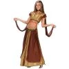 Fun World Brown and Gold Sexy Belly Dancer Women Adult Halloween Costume - Medium 2 Fun World Brown and Gold Sexy Belly Dancer Women Adult Halloween Costume - Medium -Adult Halloween Costumes Shop unnamed file 2914