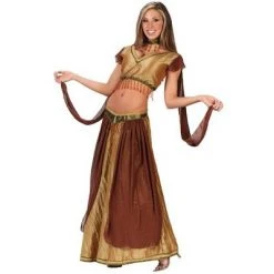 Fun World Brown and Gold Sexy Belly Dancer Women Adult Halloween Costume - Medium
