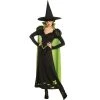 The Wizard of Oz The Wizard of Oz Wicked Witch Halloween Sensations Adult Costume -Adult Halloween Costumes Shop unnamed file 2933