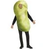 Fun World Pickle Adult Costume -Adult Halloween Costumes Shop unnamed file 3006