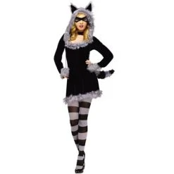 Fun World Racy Raccoon Adult Costume, Medium/Large