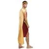 Dreamgirl Apollo Adult Costume -Adult Halloween Costumes Shop unnamed file 449