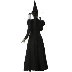 InCharacter Costumes InCharacter Wretched Witch Plus Size Costume
