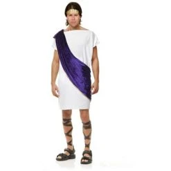 Charades Costumes Charades Toga Man Costume -Adult Halloween Costumes Shop unnamed file 4793