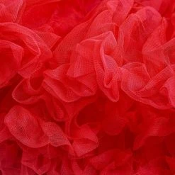 Spooky Central Red Lace Tutu Petticoat Skirt for Women, One Size for Adult