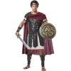 California Costumes Brave Gladiator Adult Costume -Adult Halloween Costumes Shop unnamed file 745